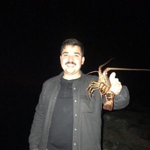 Meet your Posher, Jaime